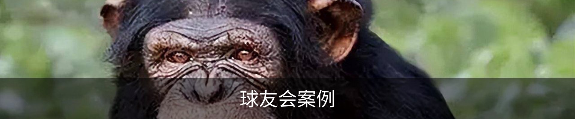 球友会案例